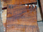 Fiddleback Tasmanian Black Wood