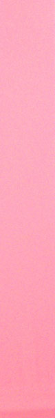 Pink  Breast Cancer Awareness Blank