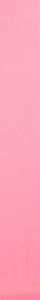 Pink  Breast Cancer Awareness Blank
